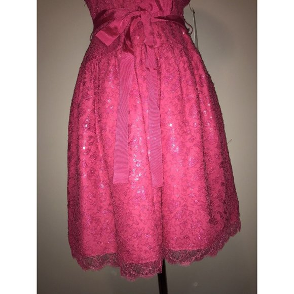 BCBG Max Azria "Katrina" Dark Pink Sequin Lace A-Line Dress, Size 2 NWT! $348 - Picture 7 of 10